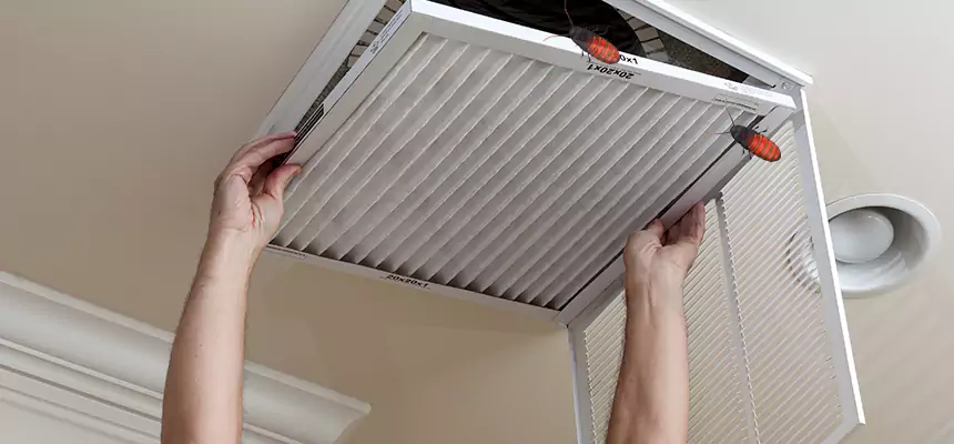 Preventive Cockroach-Proofing for Ducts in York
