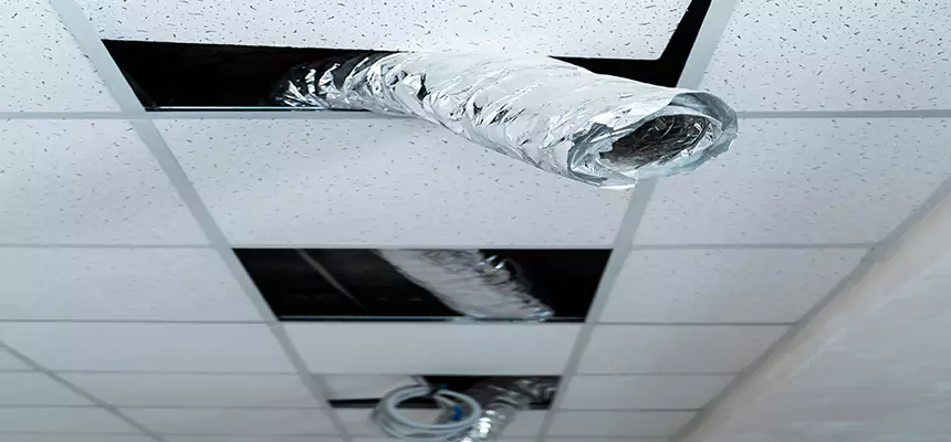 Our Air Duct Pet Hair Removal Services in York, PA