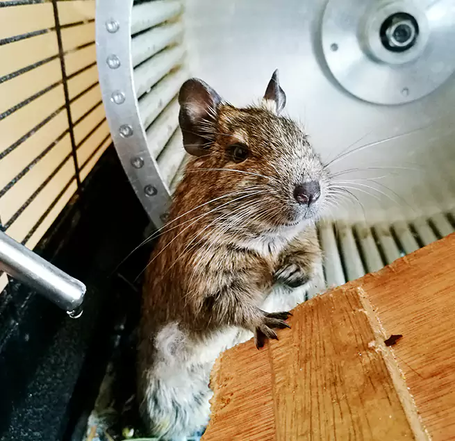 Why Homeowners & Businesses Trust Us York, PA?